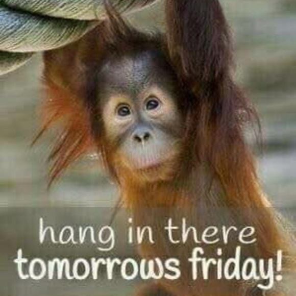 🌴😎🌴 Happy Almost Friday ... - Picture 1 of 1